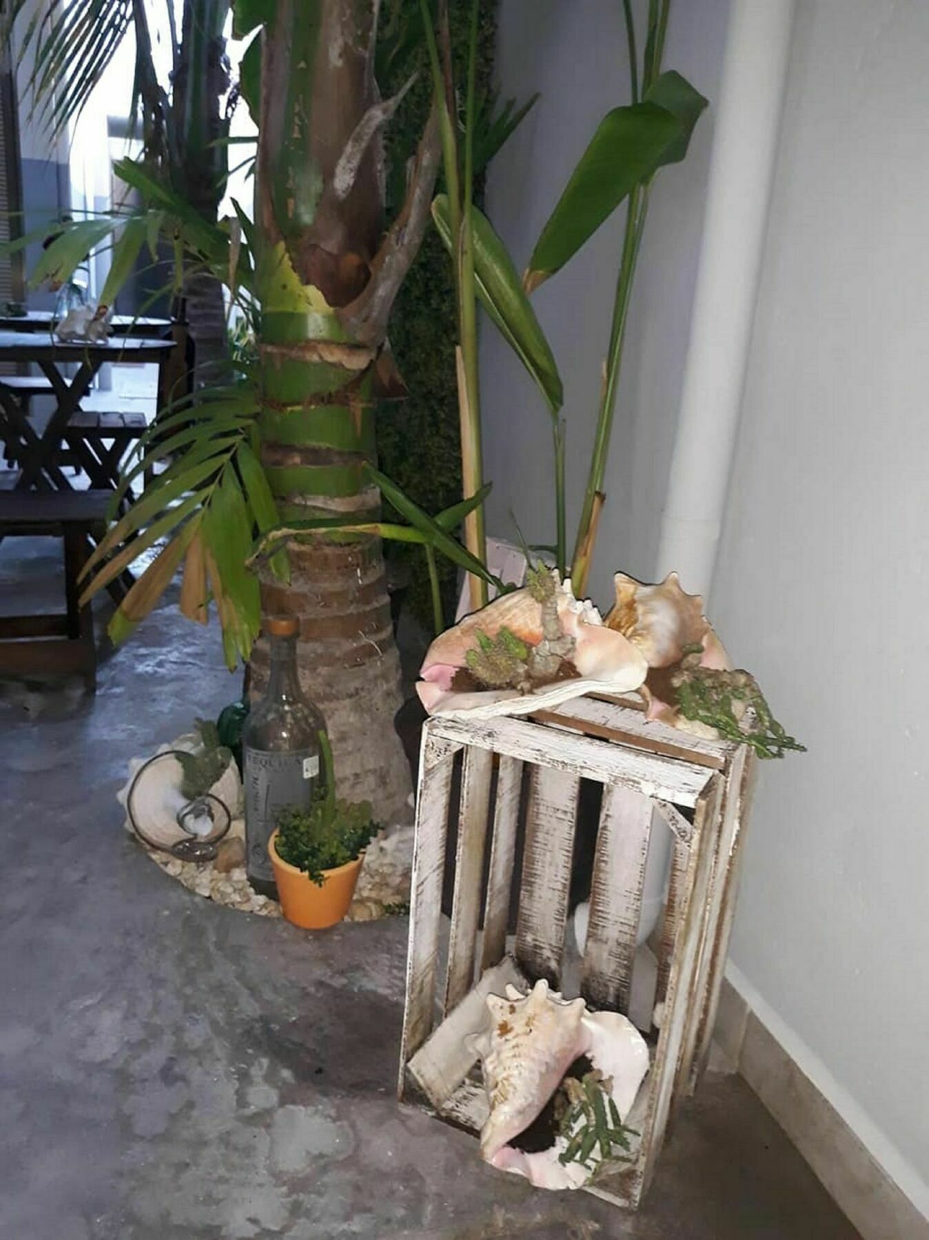 Siena Av Ctm, Colonia Zazil Ha Apartamento *
